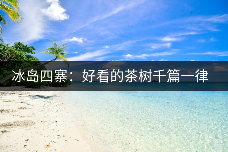 冰島四寨：好看的茶樹千篇一律，有趣的風(fēng)景萬里