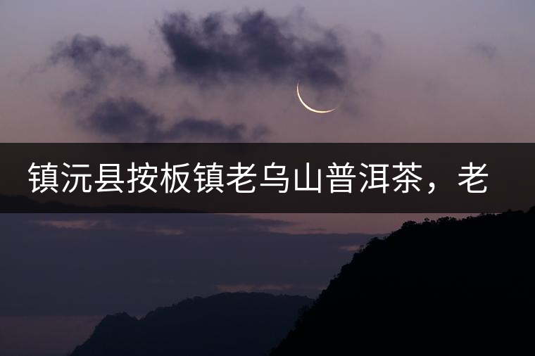 鎮(zhèn)沅縣按板鎮(zhèn)老烏山普洱茶，老烏山古樹茶口感特點
