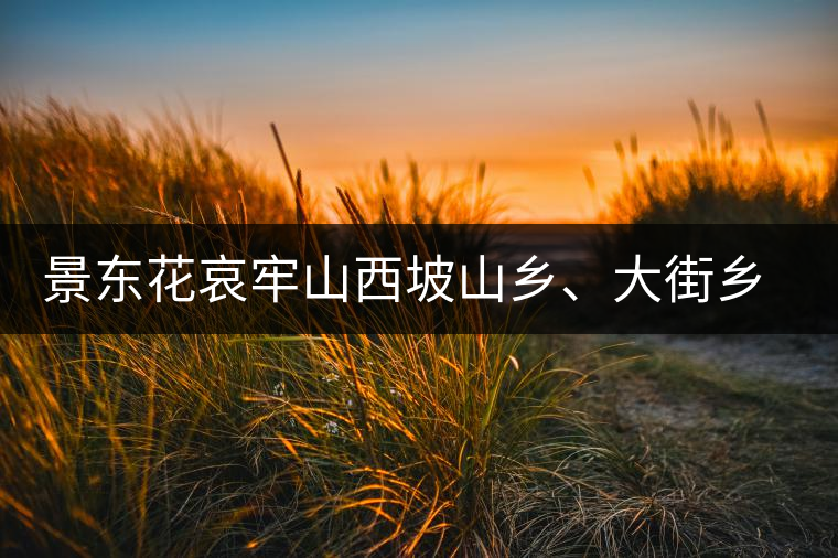 景東花哀牢山西坡山鄉(xiāng)、大街鄉(xiāng)、太忠鄉(xiāng)、龍街鄉(xiāng)普洱茶，哀牢山西坡古樹茶口