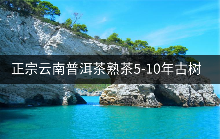 正宗云南普洱茶熟茶5-10年古樹茶餅濃香型陳年茶葉特級(jí)357g禮盒裝 正宗云南普洱茶熟茶5-10年古樹茶餅濃香型陳年茶葉特級(jí)357g禮盒裝