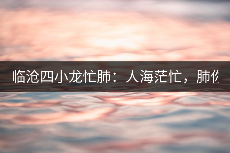 臨滄四小龍忙肺：人海茫忙，肺你莫屬！