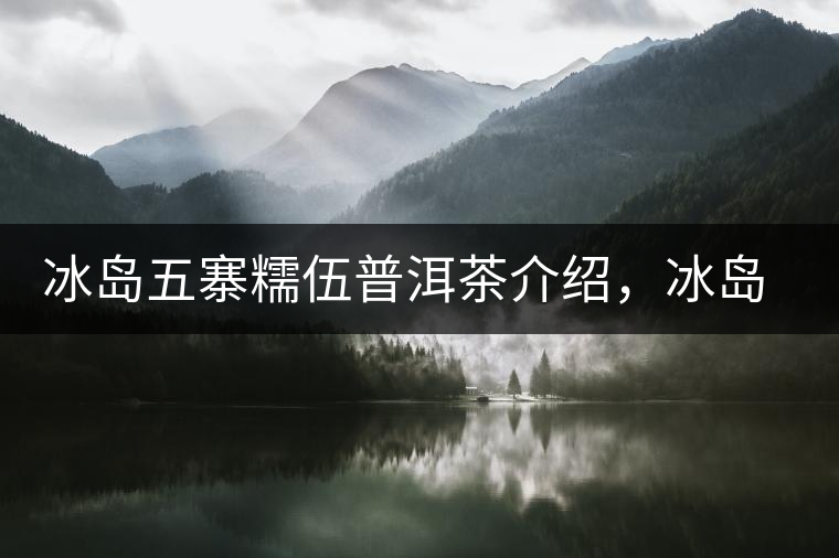 冰島五寨糯伍普洱茶介紹，冰島糯伍古樹茶口感特點