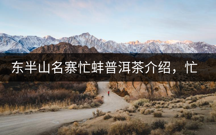 東半山名寨忙蚌普洱茶介紹，忙蚌古樹茶口感特點(diǎn)