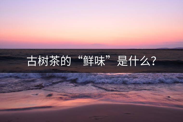 古樹茶的“鮮味”是什么？