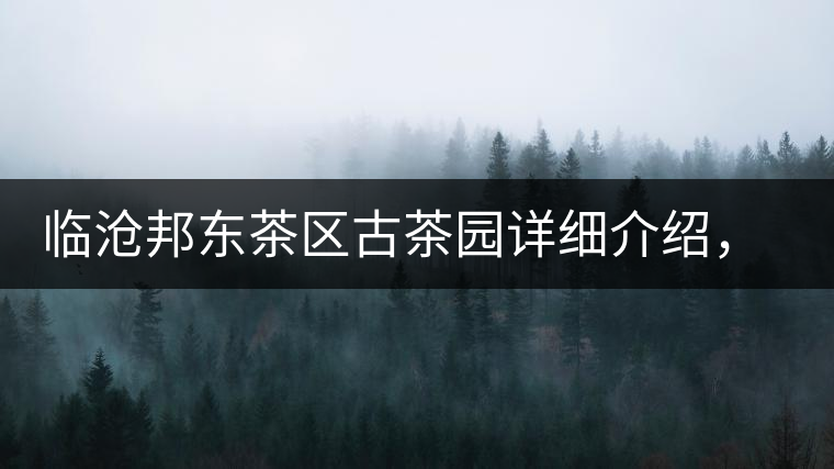 臨滄邦東茶區(qū)古茶園詳細(xì)介紹，邦東古樹茶特點