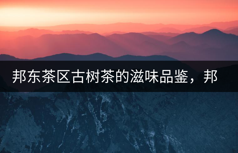 邦東茶區(qū)古樹茶的滋味品鑒，邦東普洱茶特點(diǎn)