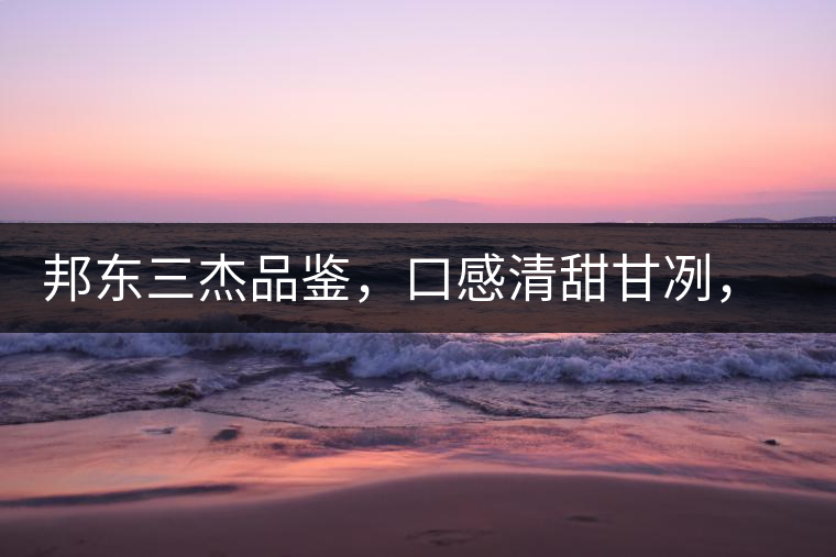 邦東三杰品鑒，口感清甜甘冽，香氣富于變化