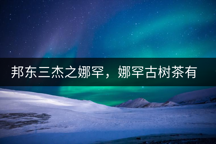 邦東三杰之娜罕，娜罕古樹茶有什么特點(diǎn)？