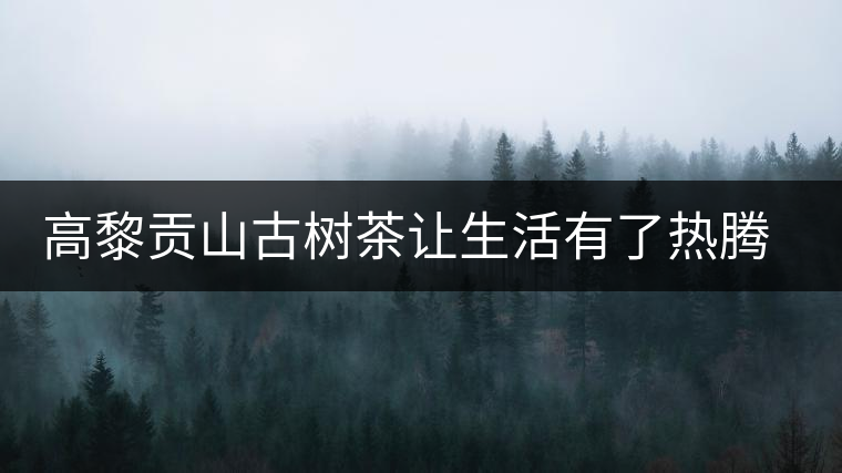 高黎貢山古樹(shù)茶讓生活有了熱騰的醉意 高黎貢山古樹(shù)茶讓生活有了熱騰的醉意