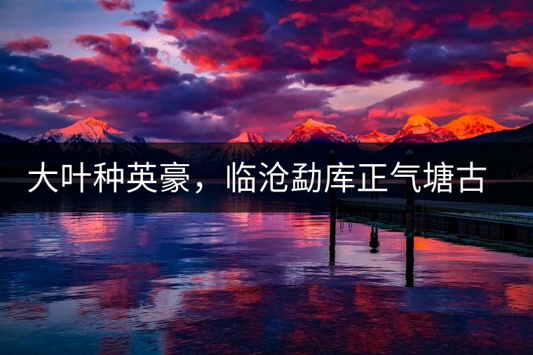 大葉種英豪，臨滄勐庫正氣塘古樹茶介紹