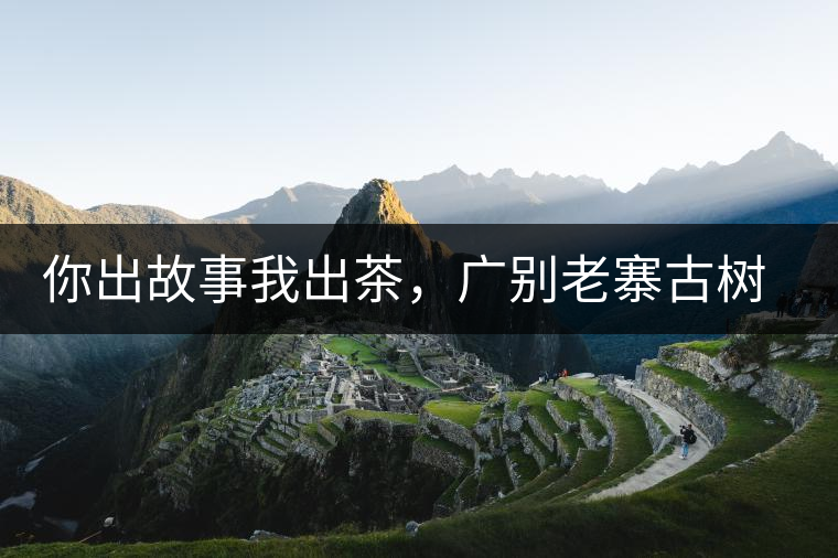 你出故事我出茶，廣別老寨古樹(shù)妖茶