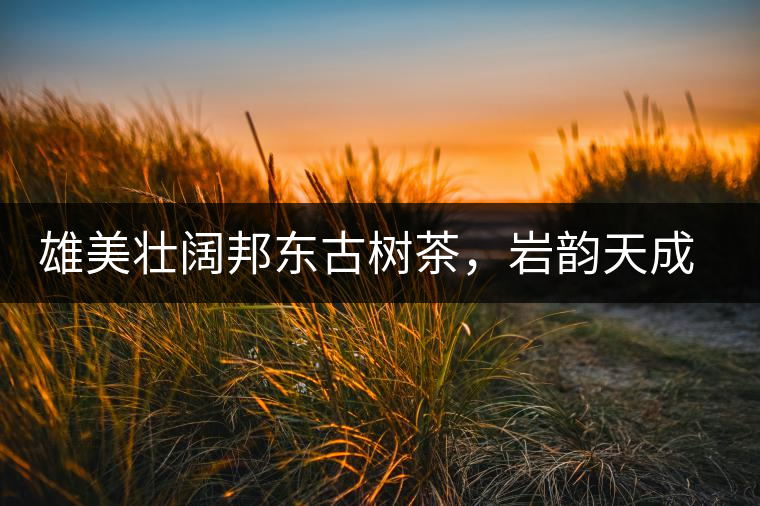 雄美壯闊邦東古樹茶，巖韻天成甘香鮮靈