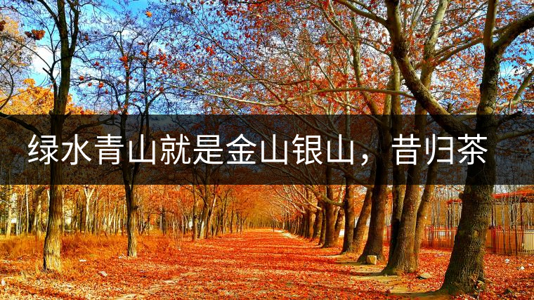 綠水青山就是金山銀山，昔歸茶農(nóng)唱著“茶歌”奔小康