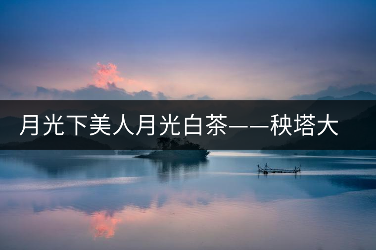月光下美人月光白茶——秧塔大白茶古茶園 月光下美人月光白茶——秧塔大白茶古茶園