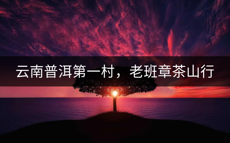 云南普洱第一村，老班章茶山行