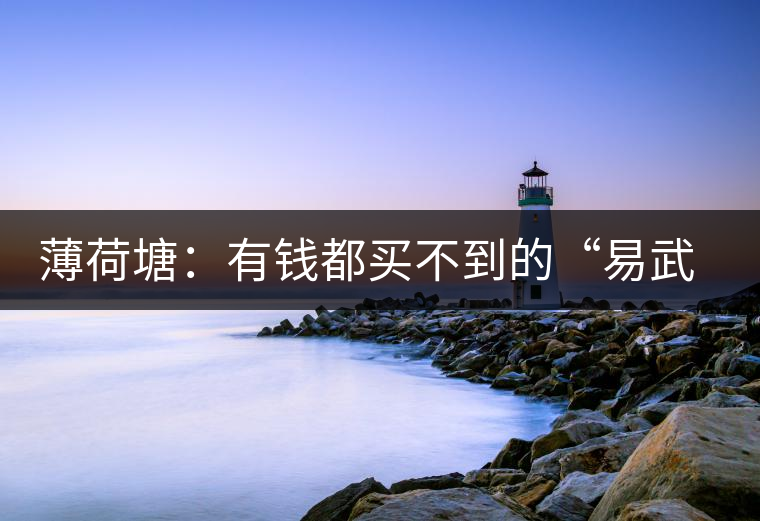 薄荷塘：有錢都買不到的“易武貴胄”，卓爾不群，無茶可及