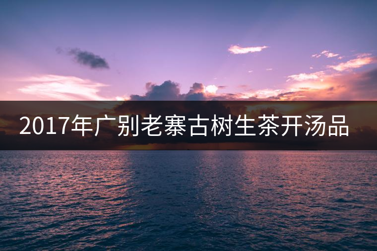 2017年廣別老寨古樹生茶開(kāi)湯品鑒