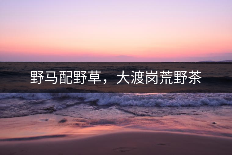 野馬配野草，大渡崗荒野茶
