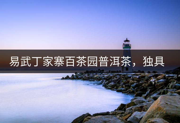 易武丁家寨百茶園普洱茶，獨具魅力的原始古樹茶