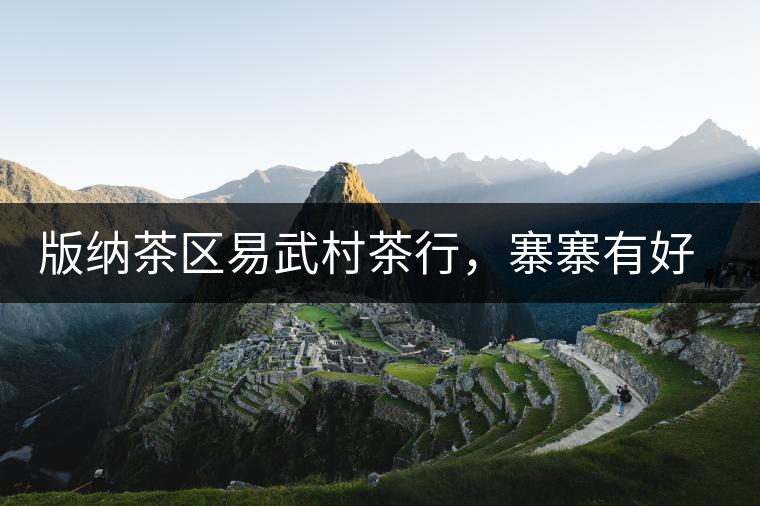 版納茶區(qū)易武村茶行，寨寨有好茶處處古茶香