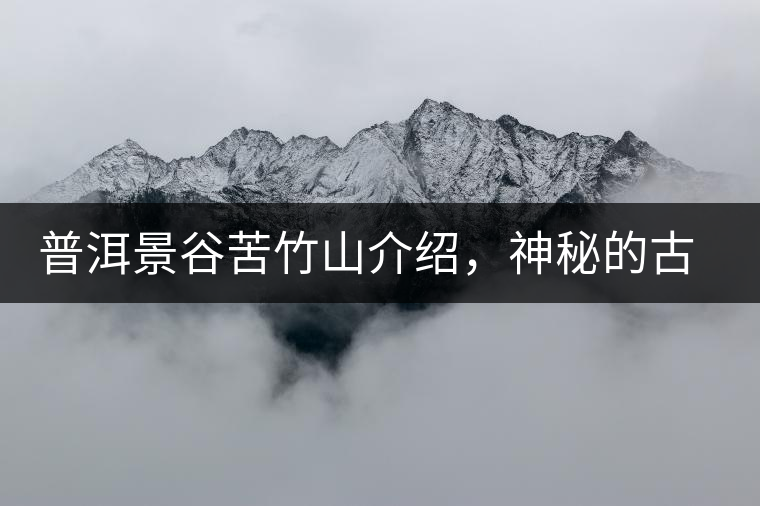 普洱景谷苦竹山介紹，神秘的古樹普洱茶原產(chǎn)地