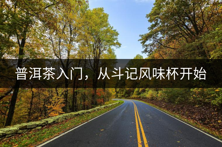 普洱茶入門，從斗記風(fēng)味杯開始