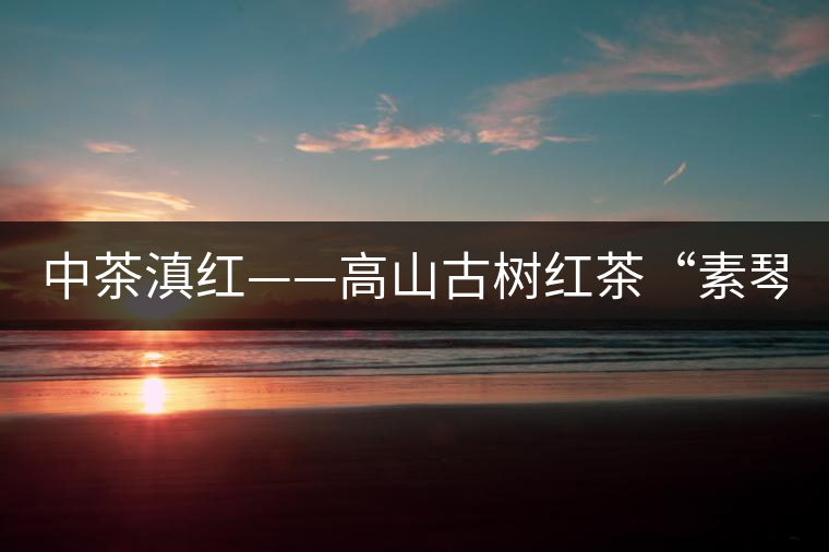 中茶滇紅——高山古樹紅茶“素琴紅”