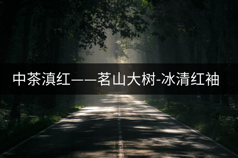 中茶滇紅——茗山大樹-冰清紅袖1號(hào) 中茶滇紅——茗山大樹-冰清紅袖1號(hào)