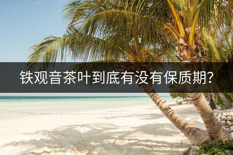 鐵觀音茶葉到底有沒有保質期？