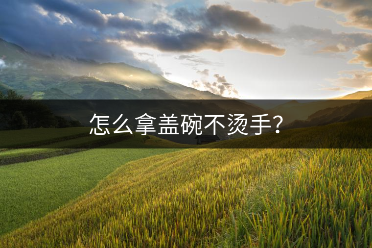 怎么拿蓋碗不燙手？