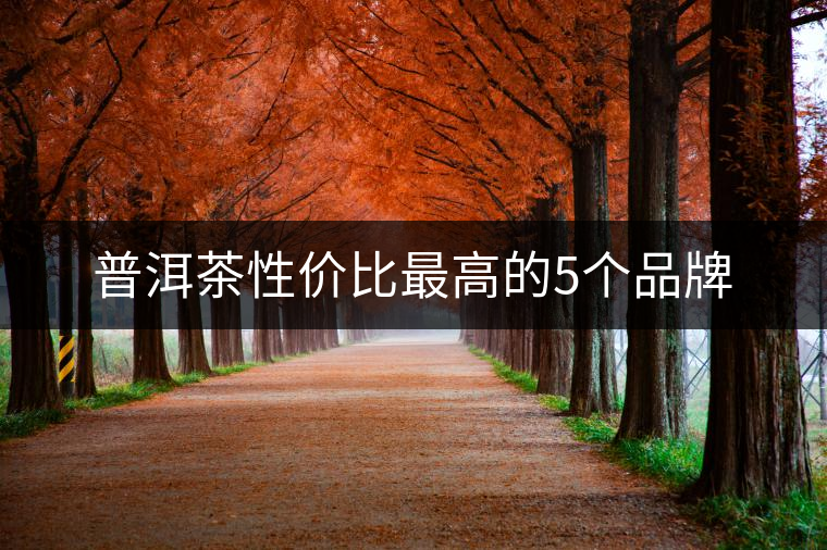 普洱茶性價(jià)比最高的5個(gè)品牌