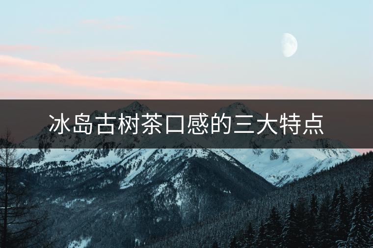 冰島古樹茶口感的三大特點