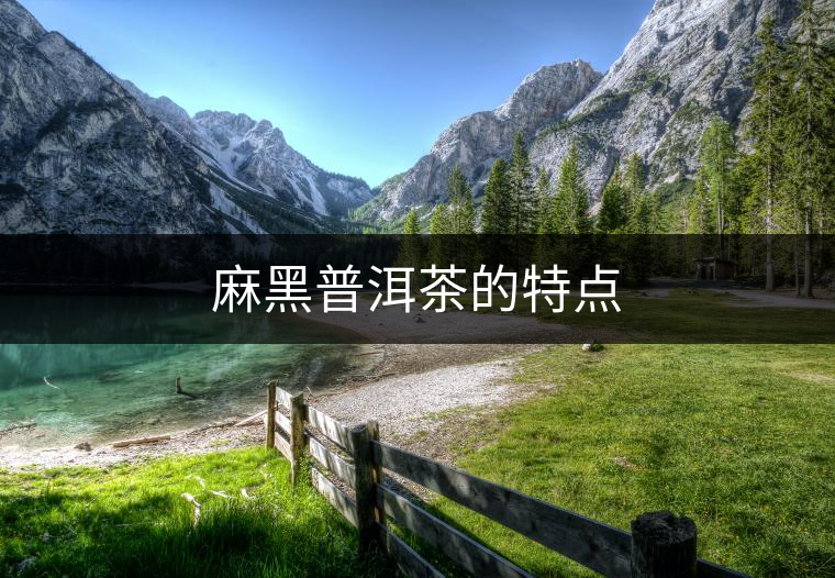 麻黑普洱茶的特點(diǎn) 麻黑普洱茶的特點(diǎn)