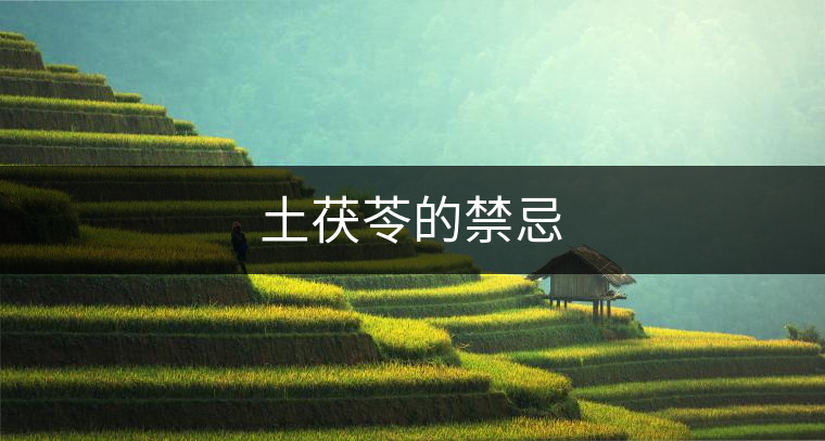 土茯苓的禁忌