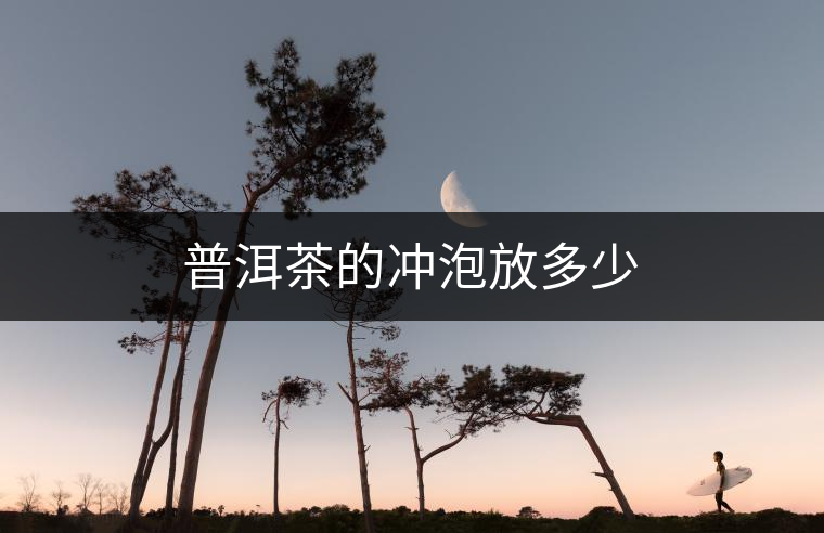 普洱茶的沖泡放多少 普洱茶的沖泡放多少