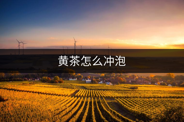 黃茶怎么沖泡 黃茶怎么沖泡