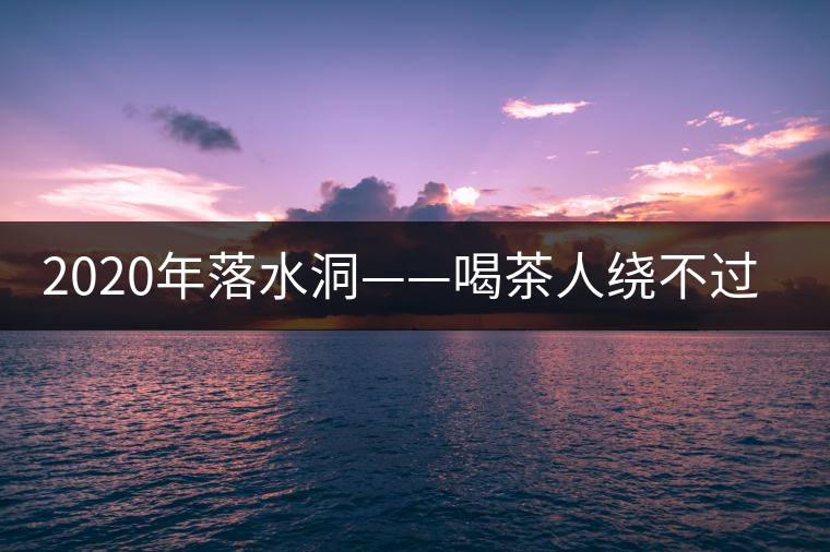 2020年落水洞——喝茶人繞不過的溫柔鄉(xiāng)！-易武中聘號