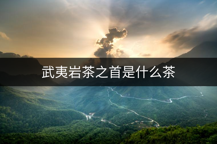 武夷巖茶之首是什么茶