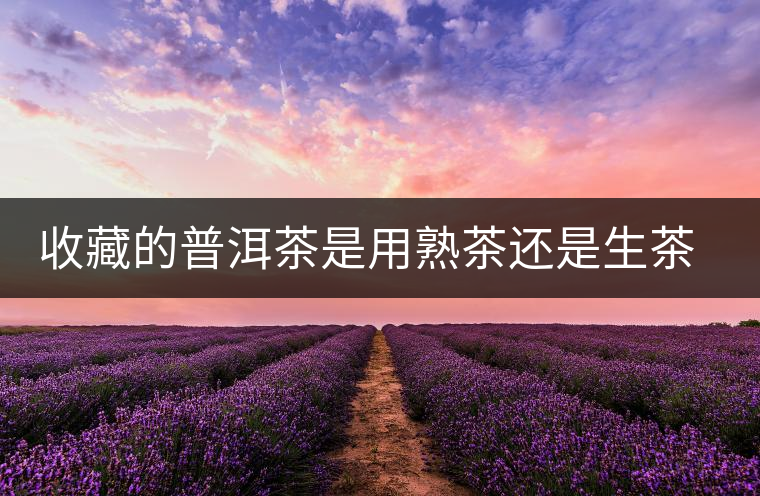 收藏的普洱茶是用熟茶還是生茶好