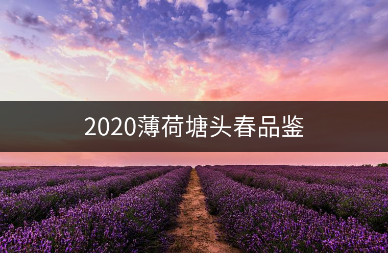 2020薄荷塘頭春品鑒 2020薄荷塘頭春品鑒