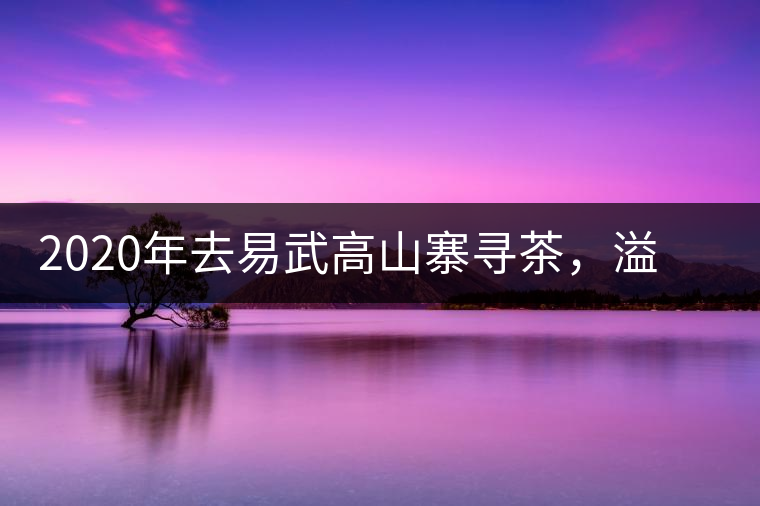 2020年去易武高山寨尋茶，溢滿(mǎn)茶香的古樹(shù)寨子-易武中聘號(hào)