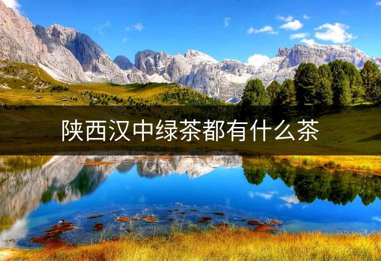 陜西漢中綠茶都有什么茶 陜西漢中綠茶都有什么茶