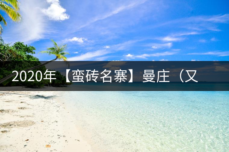 2020年【蠻磚名寨】曼莊（又作：蠻磚、曼磚）-易武中聘號(hào)