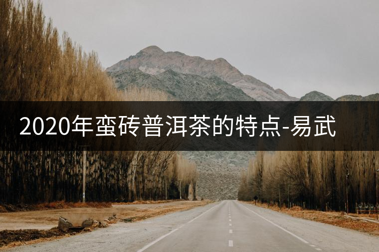 2020年蠻磚普洱茶的特點-易武中聘號 2020年蠻磚普洱茶的特點-易武中聘號