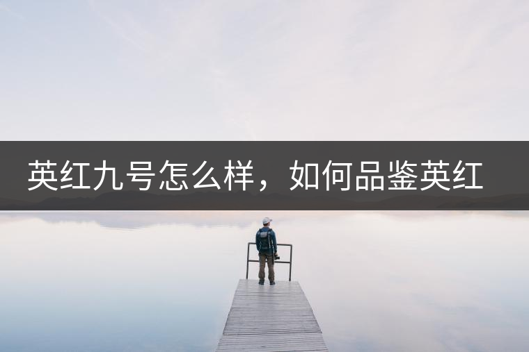 英紅九號(hào)怎么樣，如何品鑒英紅九號(hào)紅茶