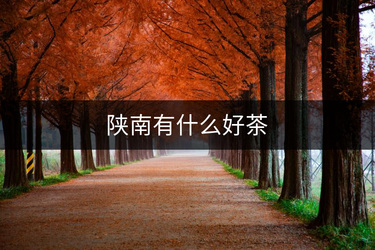 陜南有什么好茶