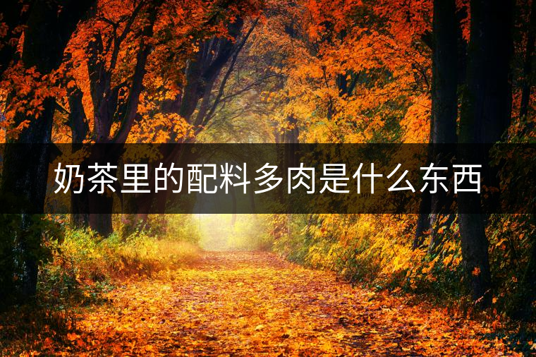 奶茶里的配料多肉是什么東西