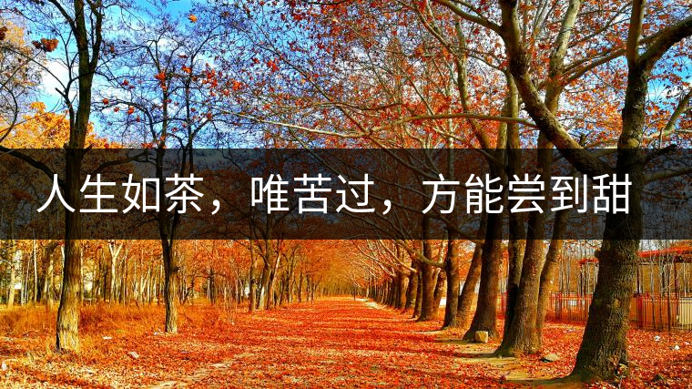 人生如茶，唯苦過(guò)，方能嘗到甜滋味
