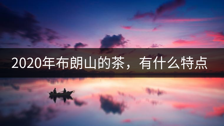 2020年布朗山的茶，有什么特點(diǎn)？-易武中聘號