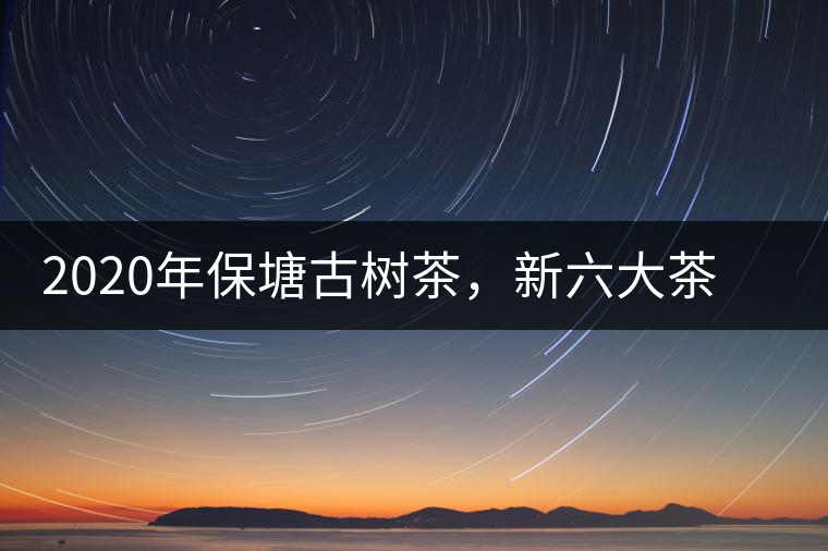 2020年保塘古樹茶，新六大茶山之勐宋茶佼佼者-易武中聘號
